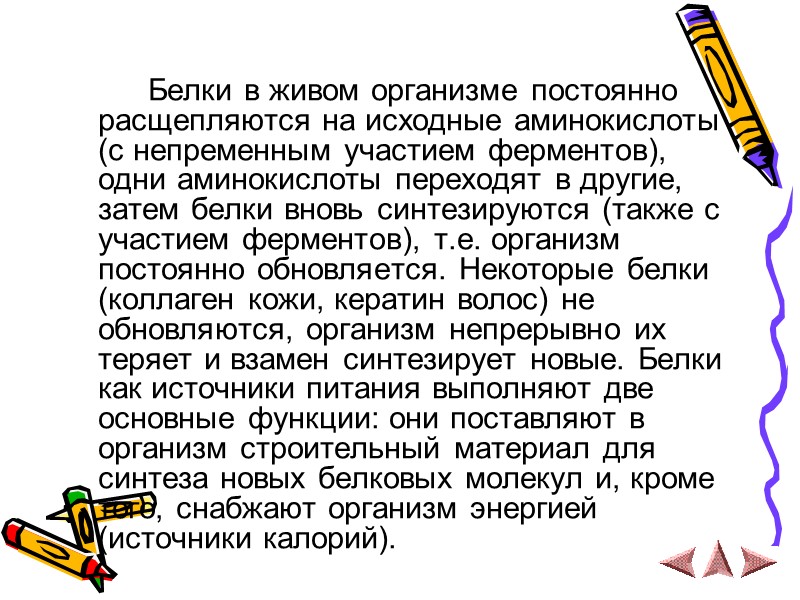 Белки в живом организме постоянно расщепляются на исходные аминокислоты (с непременным участием ферментов), одни